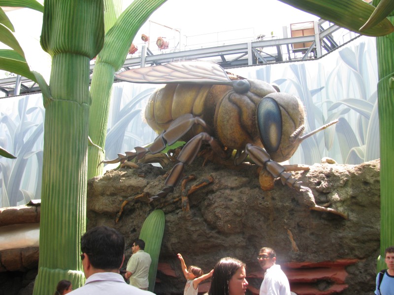 Hollywood Studios 070.jpg